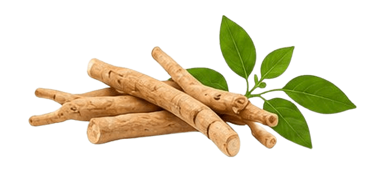 Ashwagandha Oil benefits
